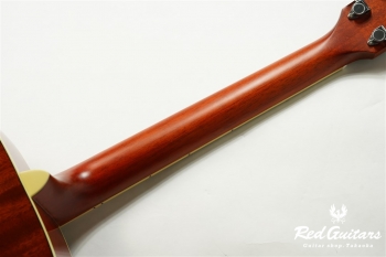 FS-820 - Autumn Burst